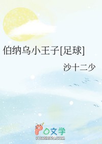[足球同人] 伯纳乌小王子